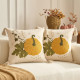 Cushion